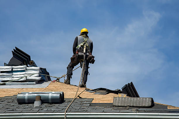 Professional Storm Damage Roof Repair technician working in Petersburg, ND