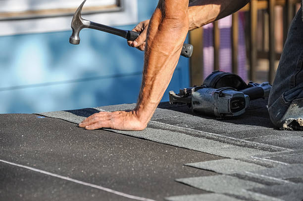 Affordable Storm Damage Roof Repair solutions in Petersburg, ND